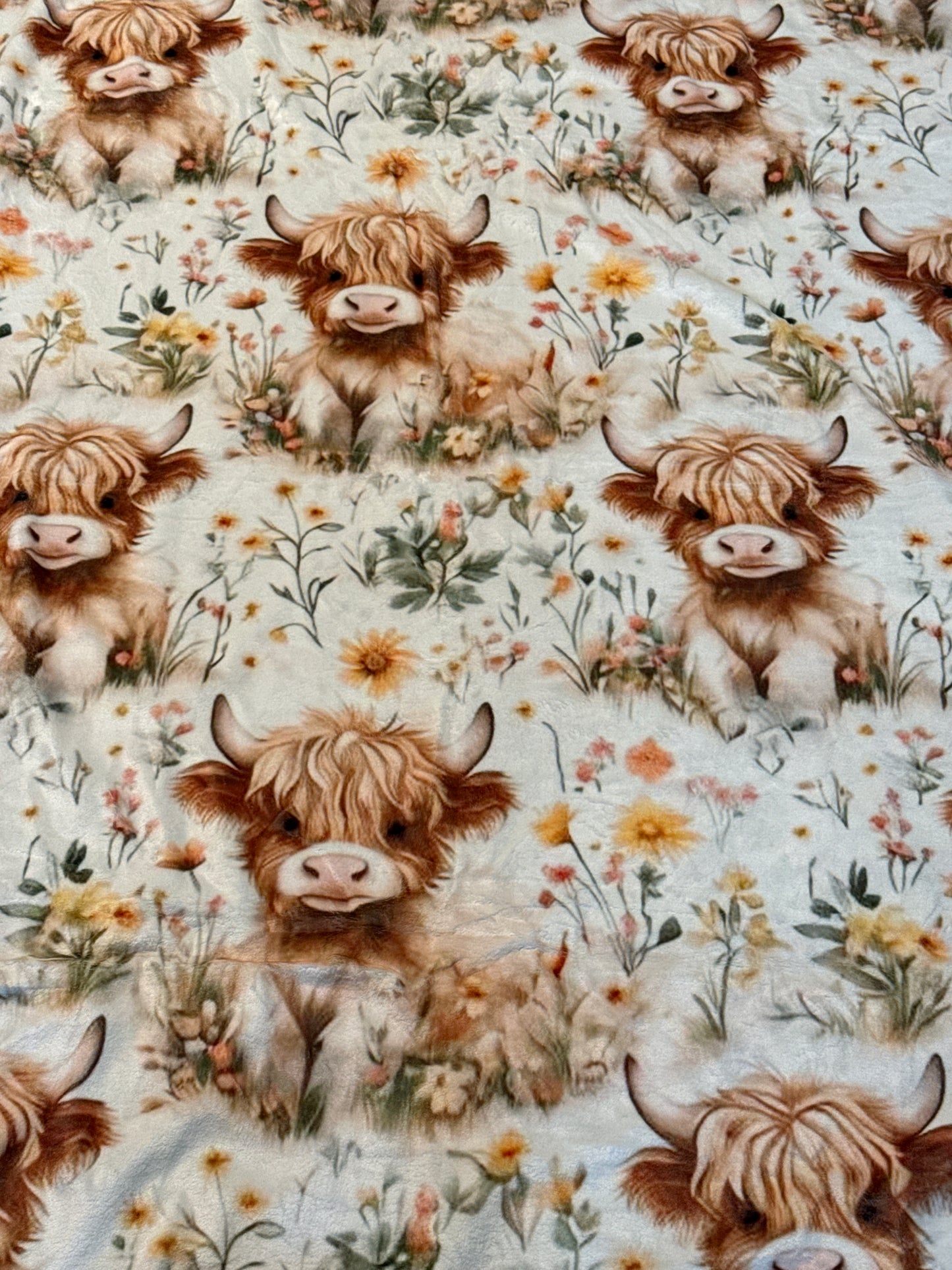 HIGHLAND COWS AND FLOWERS