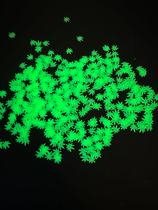 #269 GLOW LEAFS