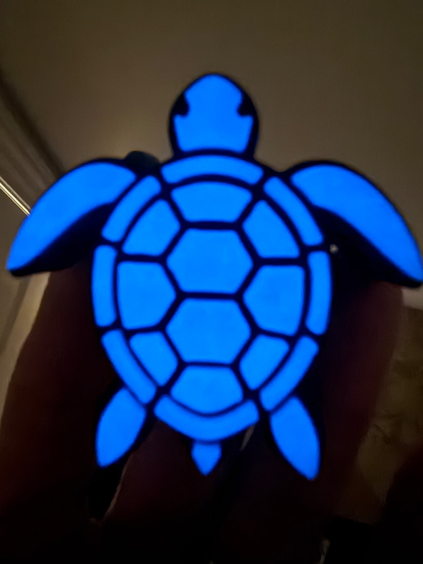 TURTLE STRAW HUGGY GLOW IN THE DARK