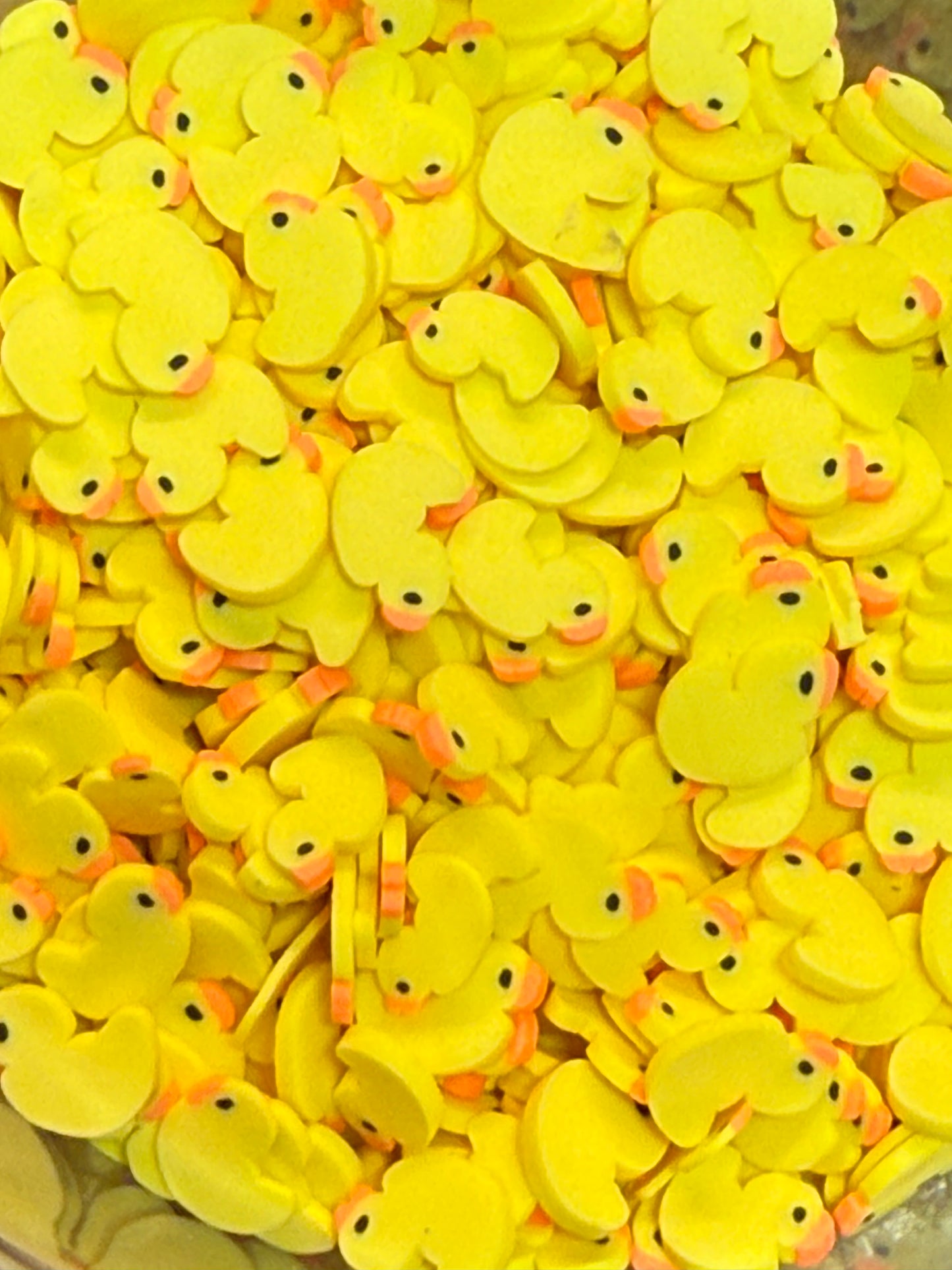 1053 DUCKS