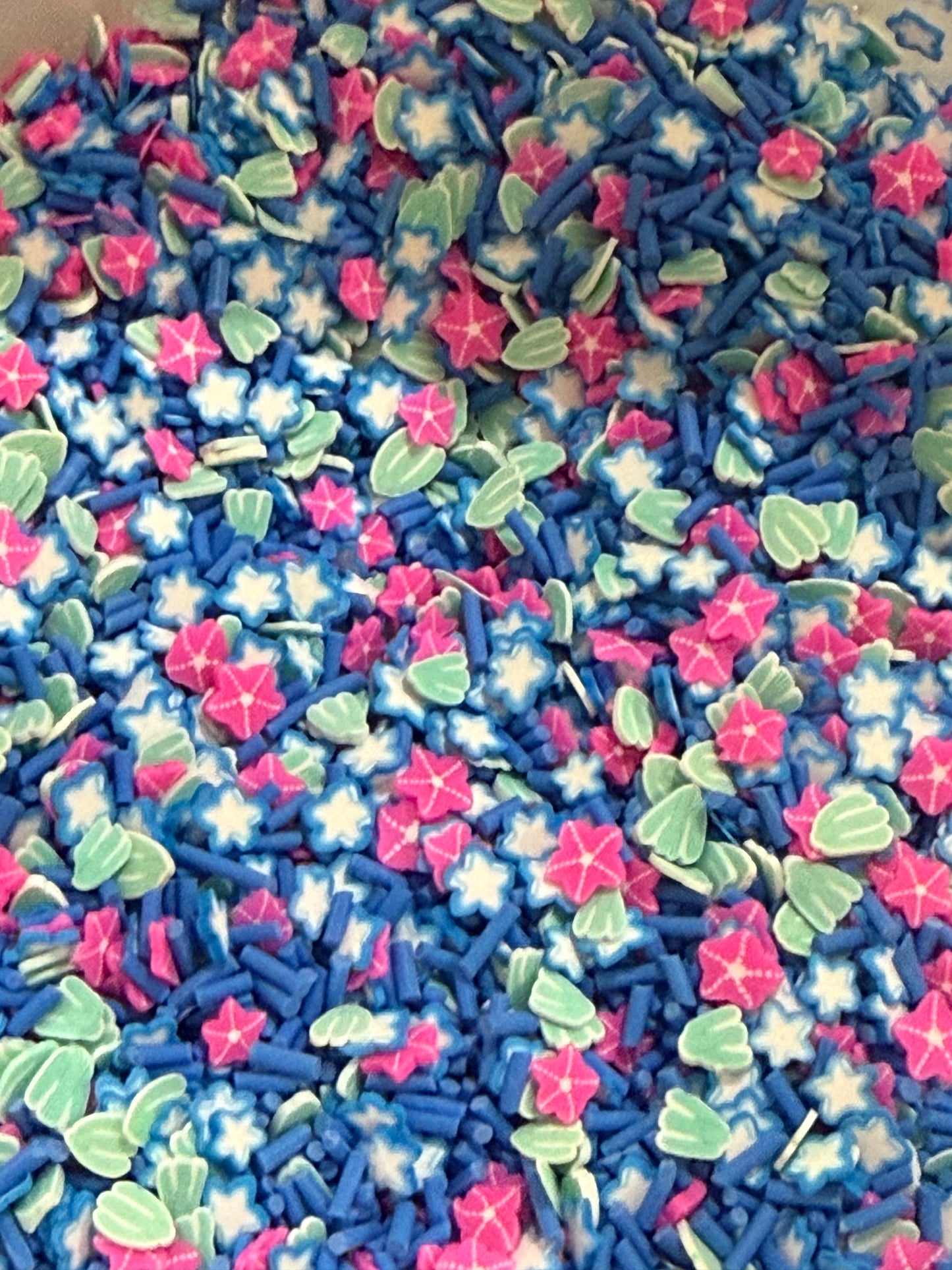 2043 Cactus and flowers