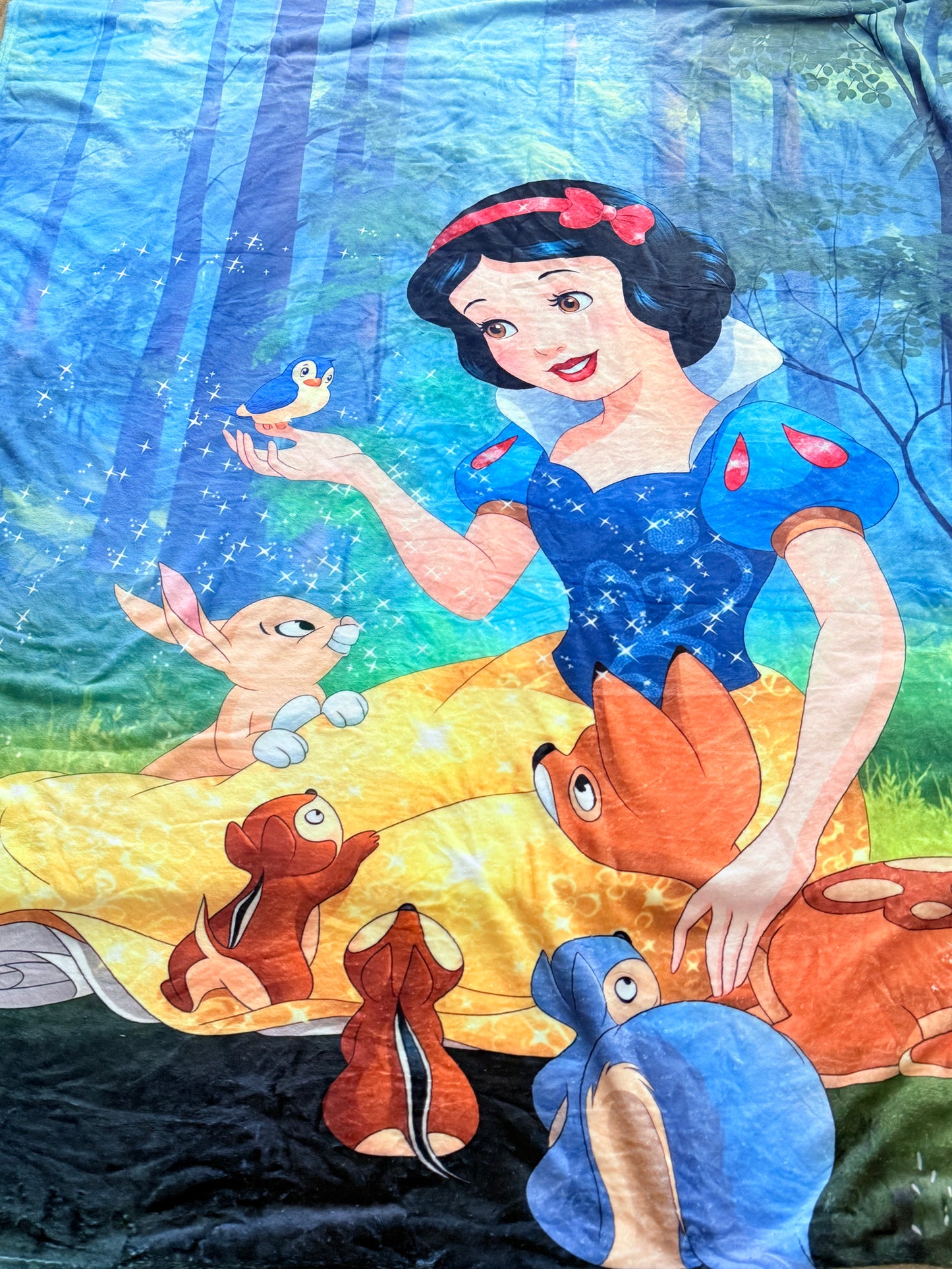 DISNEY PRINCESS