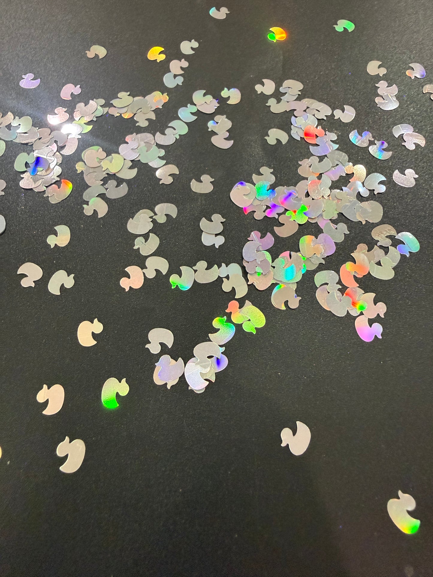 HOLOGRAPHIC DUCKS