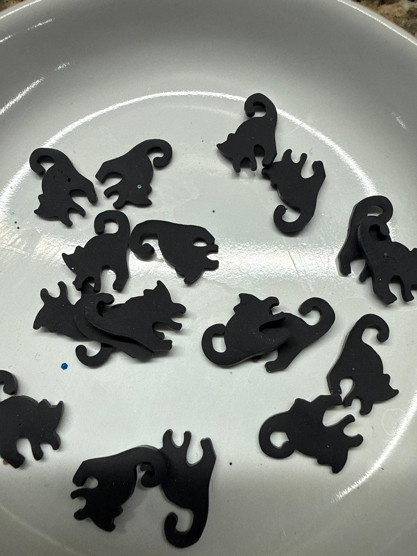 1073 Black Cats