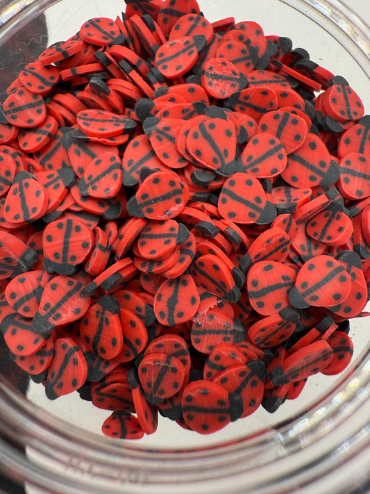 #507 LADYBUGS