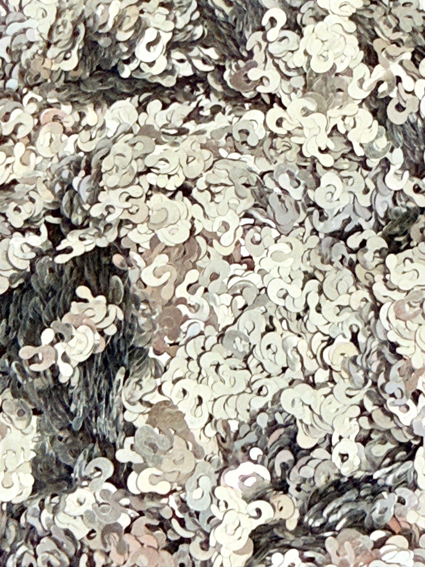 Silver cheetah