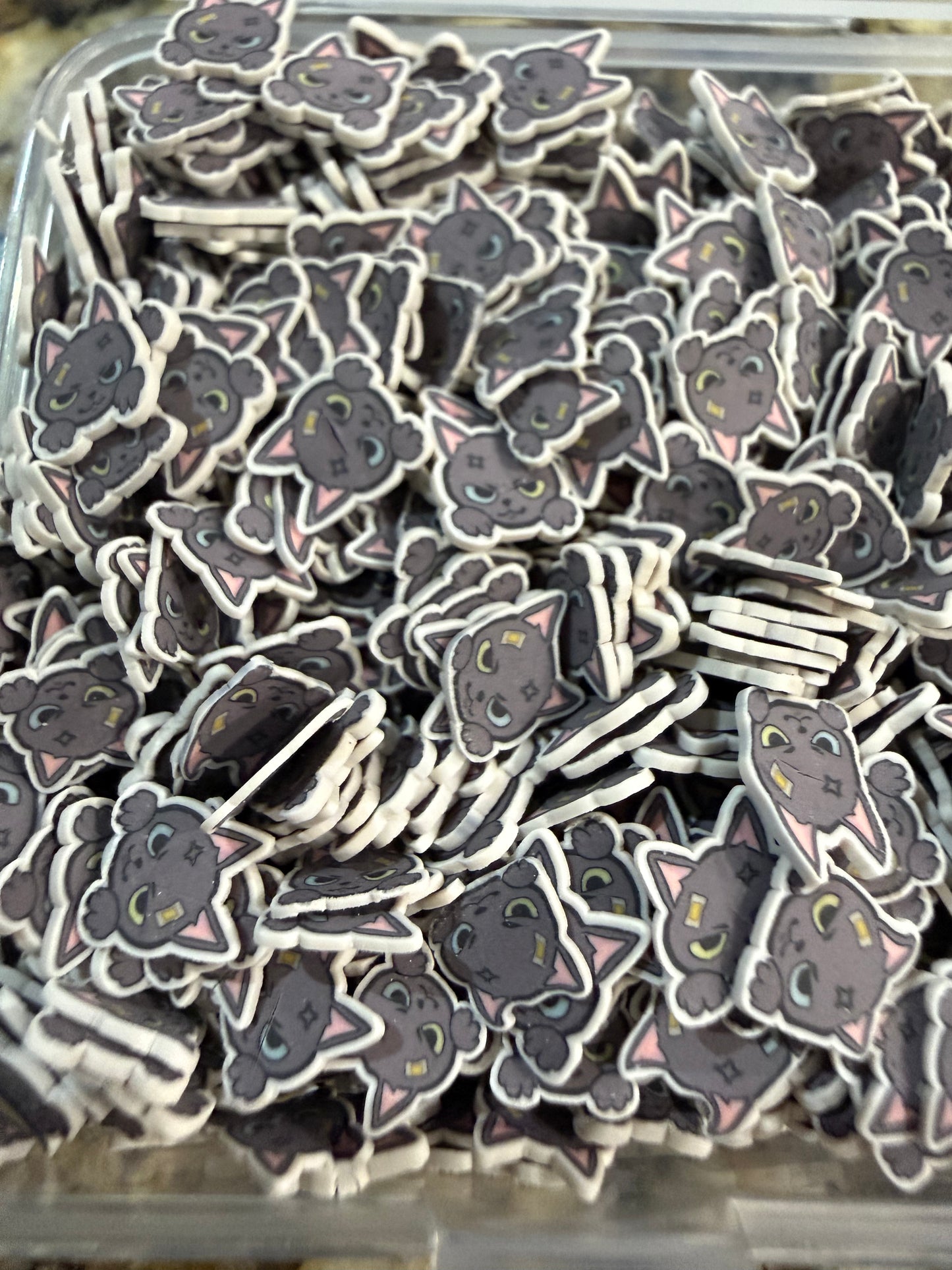 2058 BLACK CATS