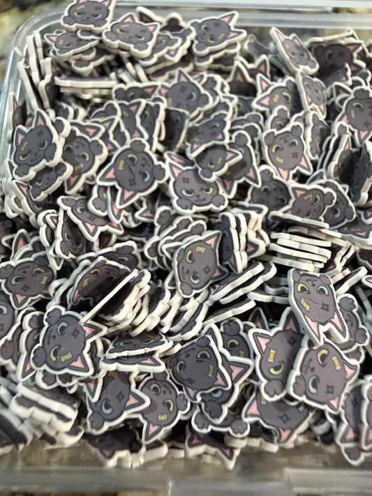 2058 BLACK CATS